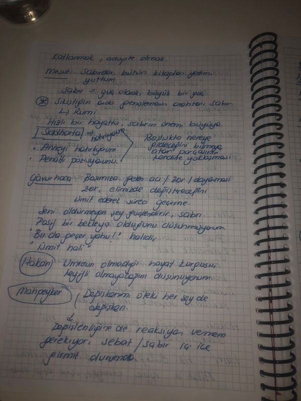 sabir04
